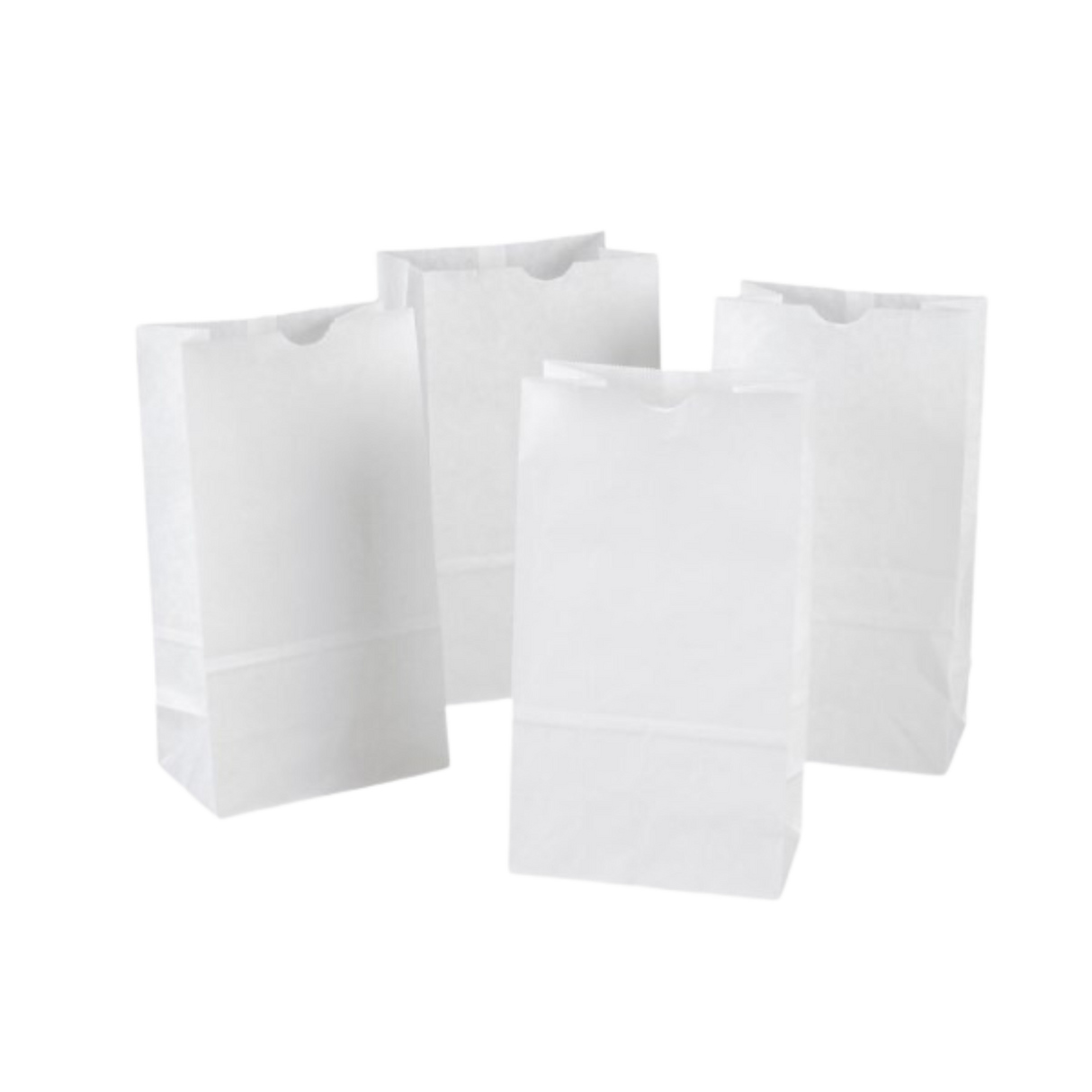 6 lb White Paper Bags