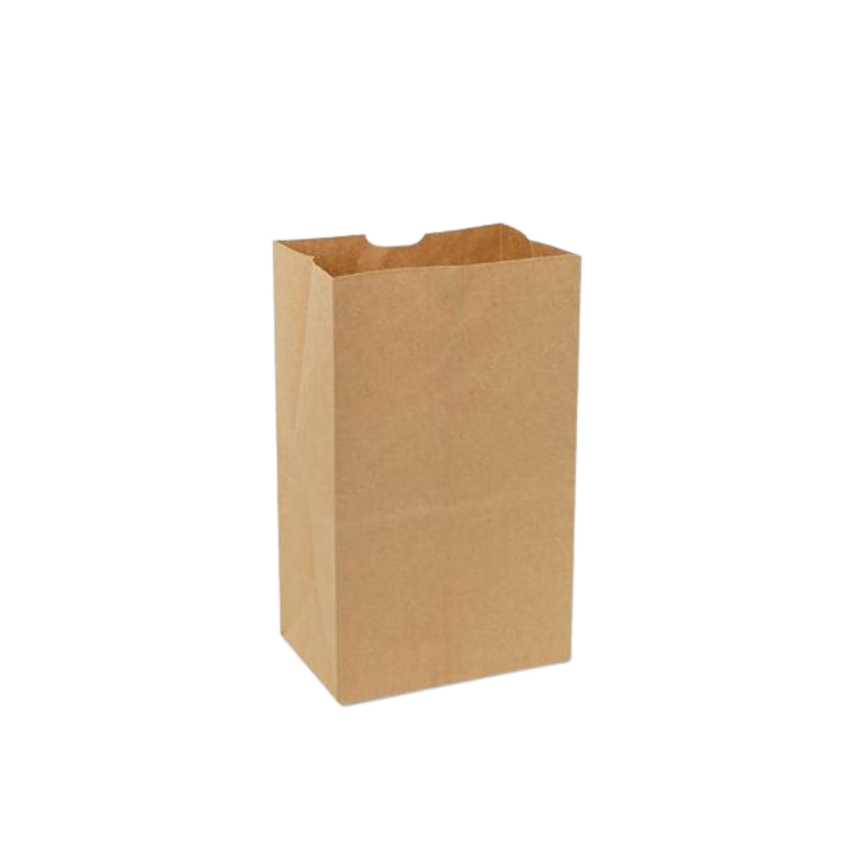 8 lb Brown Paper Bags