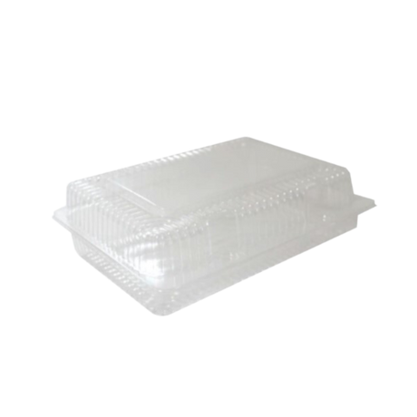 Clear Clamshell Plastic Container