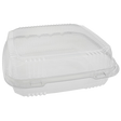 9" Plastic Clamshell Container