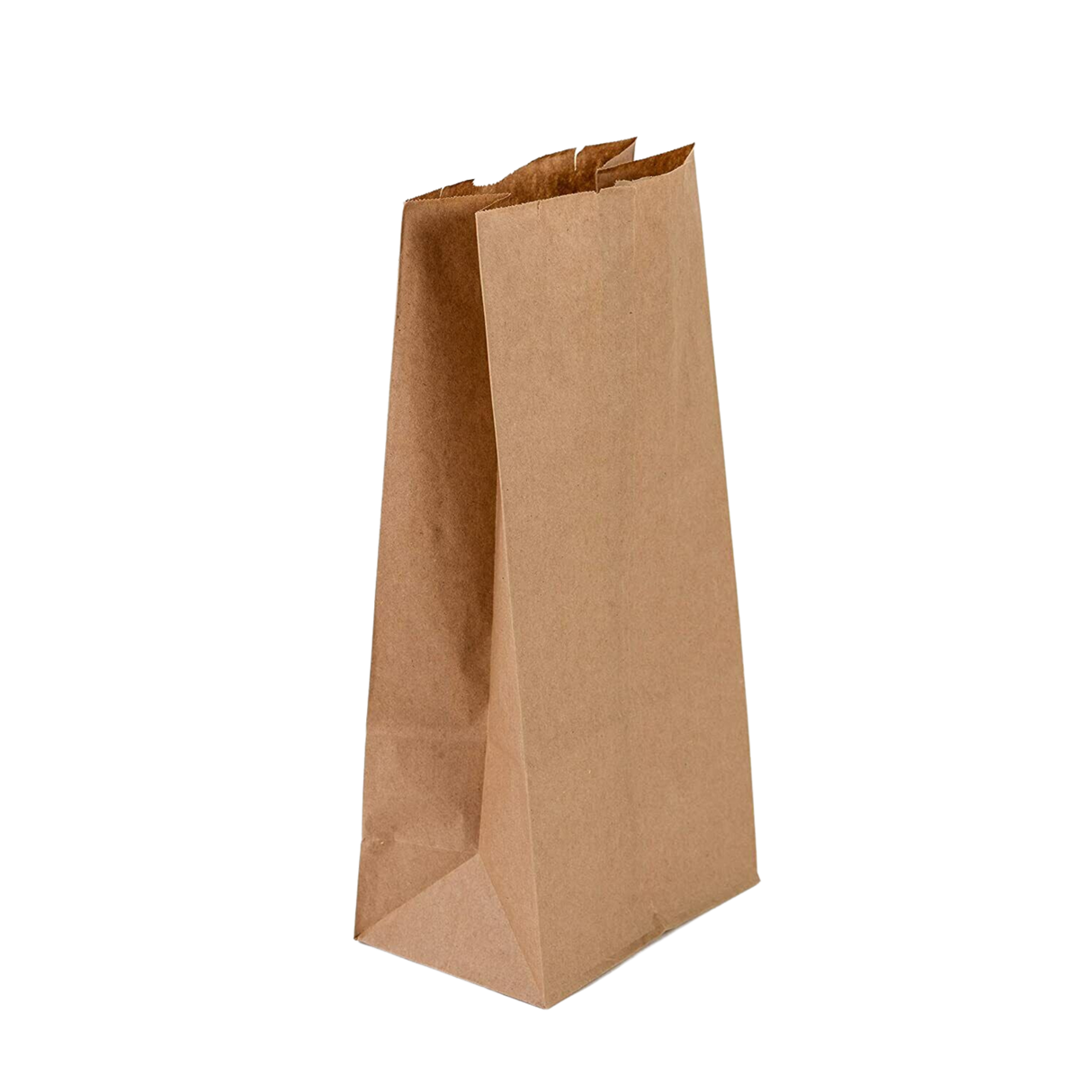 10 lb Brown Paper Bags