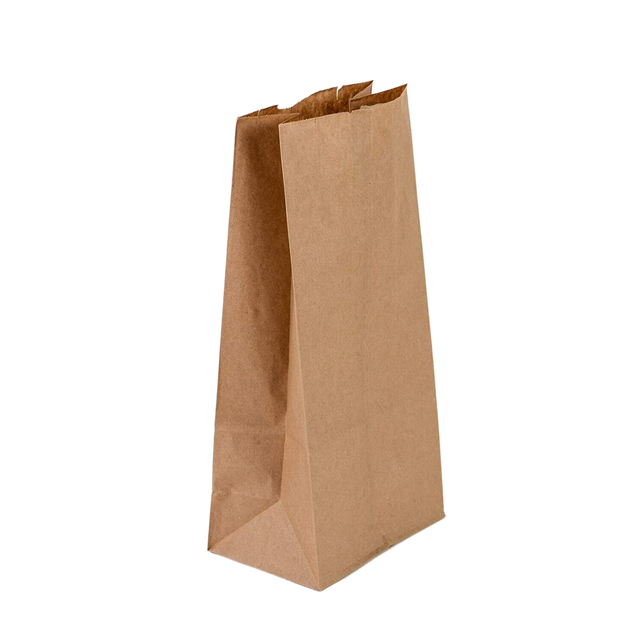10 lb Brown Paper Bags