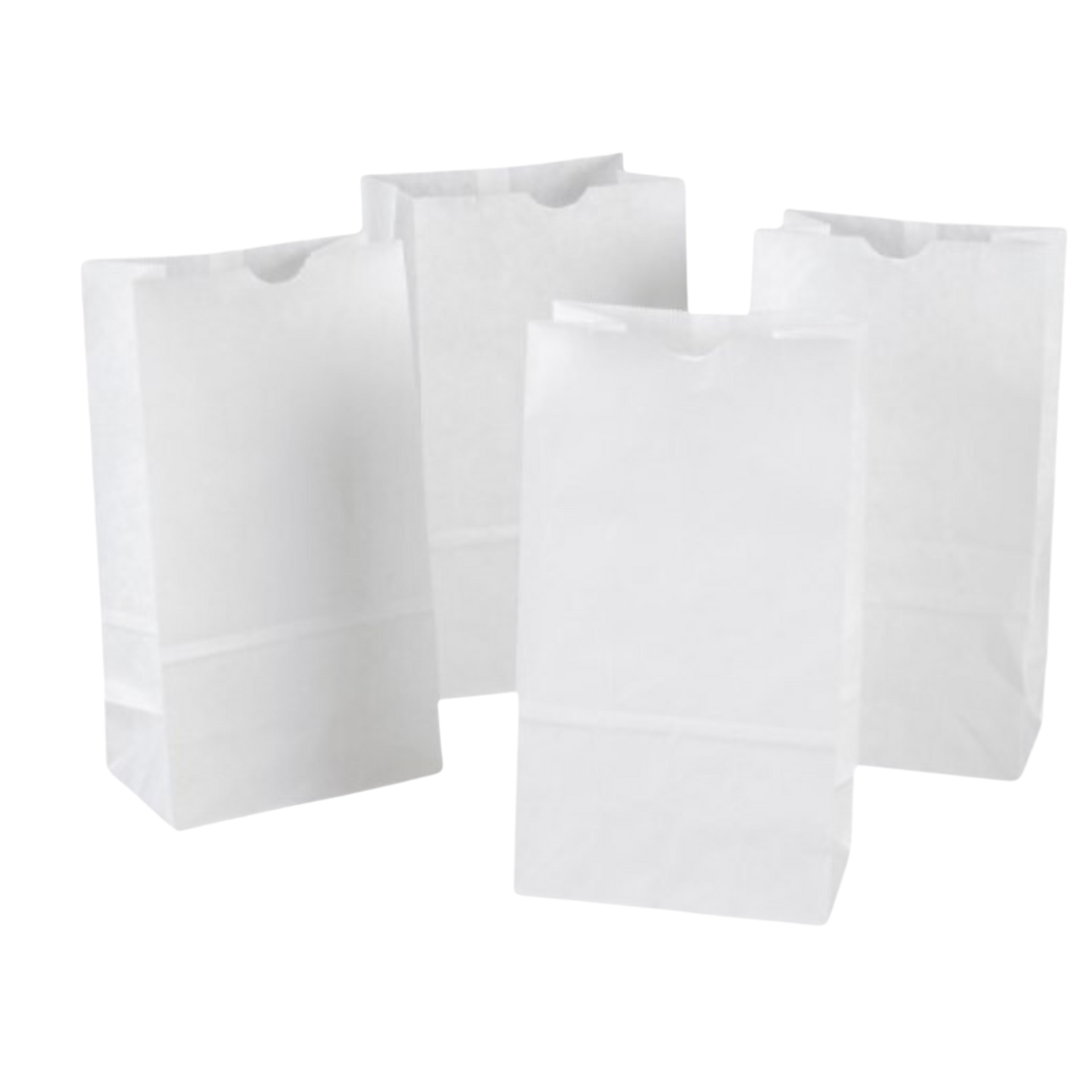 20 lb White Paper Bags