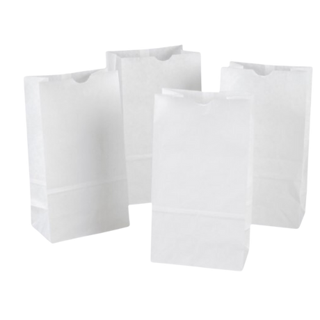 20 lb White Paper Bags