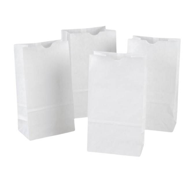 20 lb White Paper Bags
