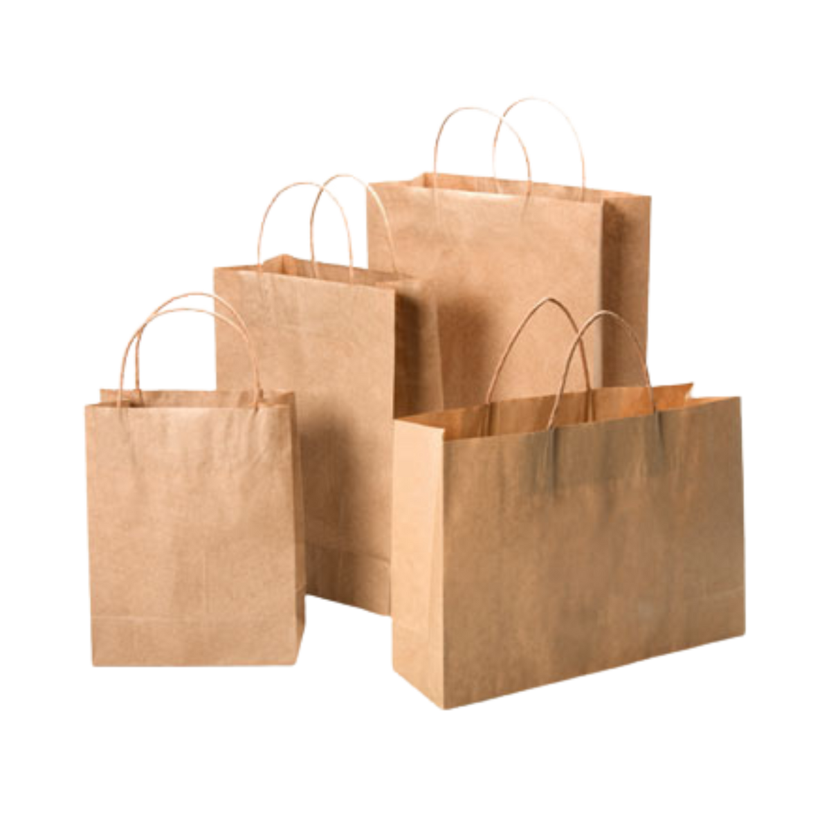 10" x 5" x 13" Kraft Paper Bag with Twisted Handle