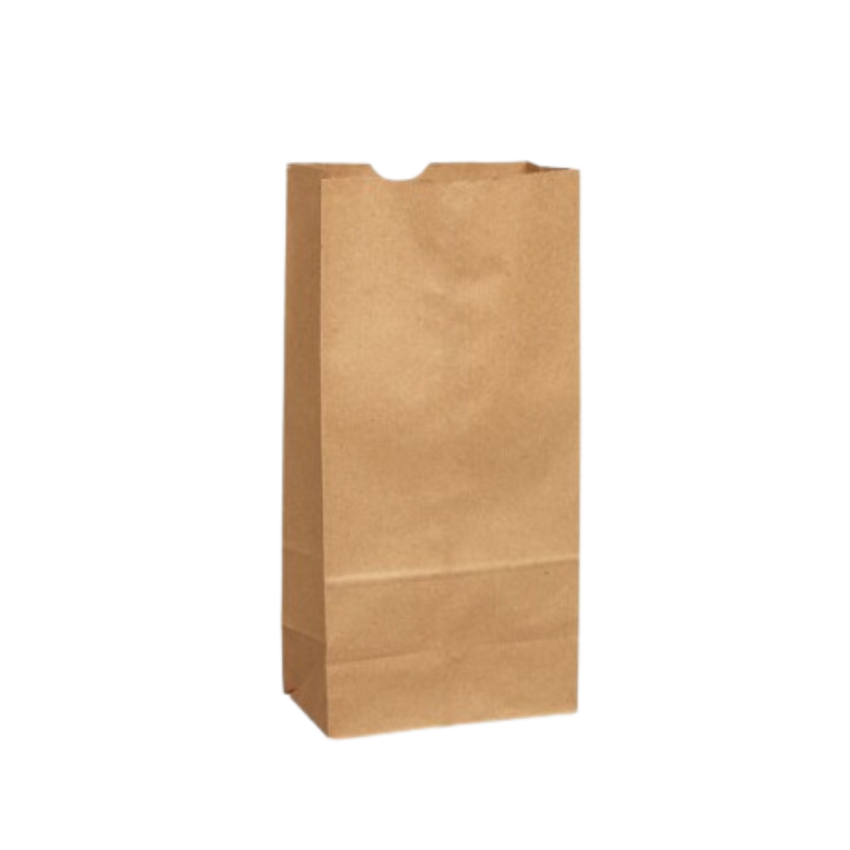 5 lb Brown Paper Bags