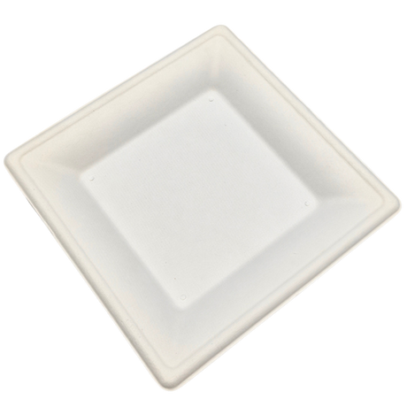 6" Square Sugarcane Plate
