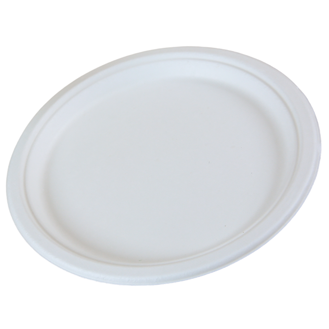 10" Round Sugarcane Plate - 1-Comp.