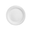 9" Uncoated Paper Plates