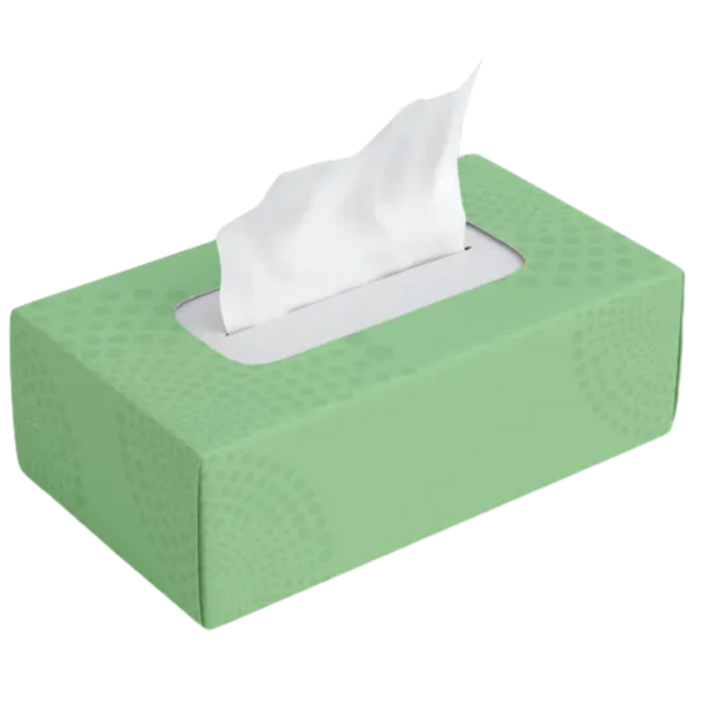 210 sheets, 2 ply Gogo Facial Tissue - 24 boxes