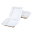 8" x 8" x 2.5" Sugarcane Take-Out Container - 1-Comp.
