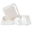 8" x 8" x 3" Sugarcane Take-Out Container - 3-Comp.